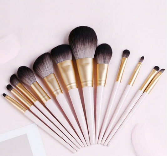 Blush 12pcs Make-Up Brush Set